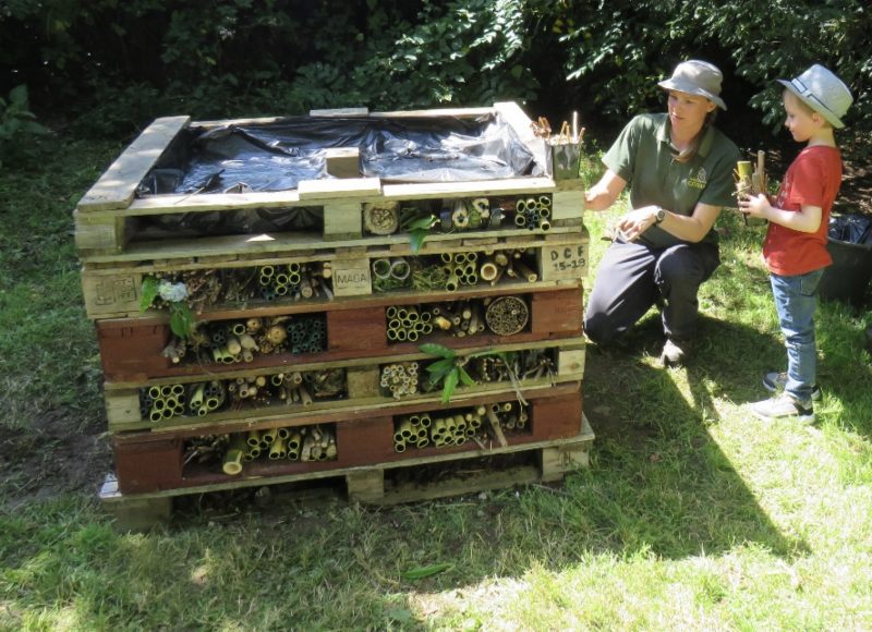 Woman teaching a child in front of a bug hotel structure